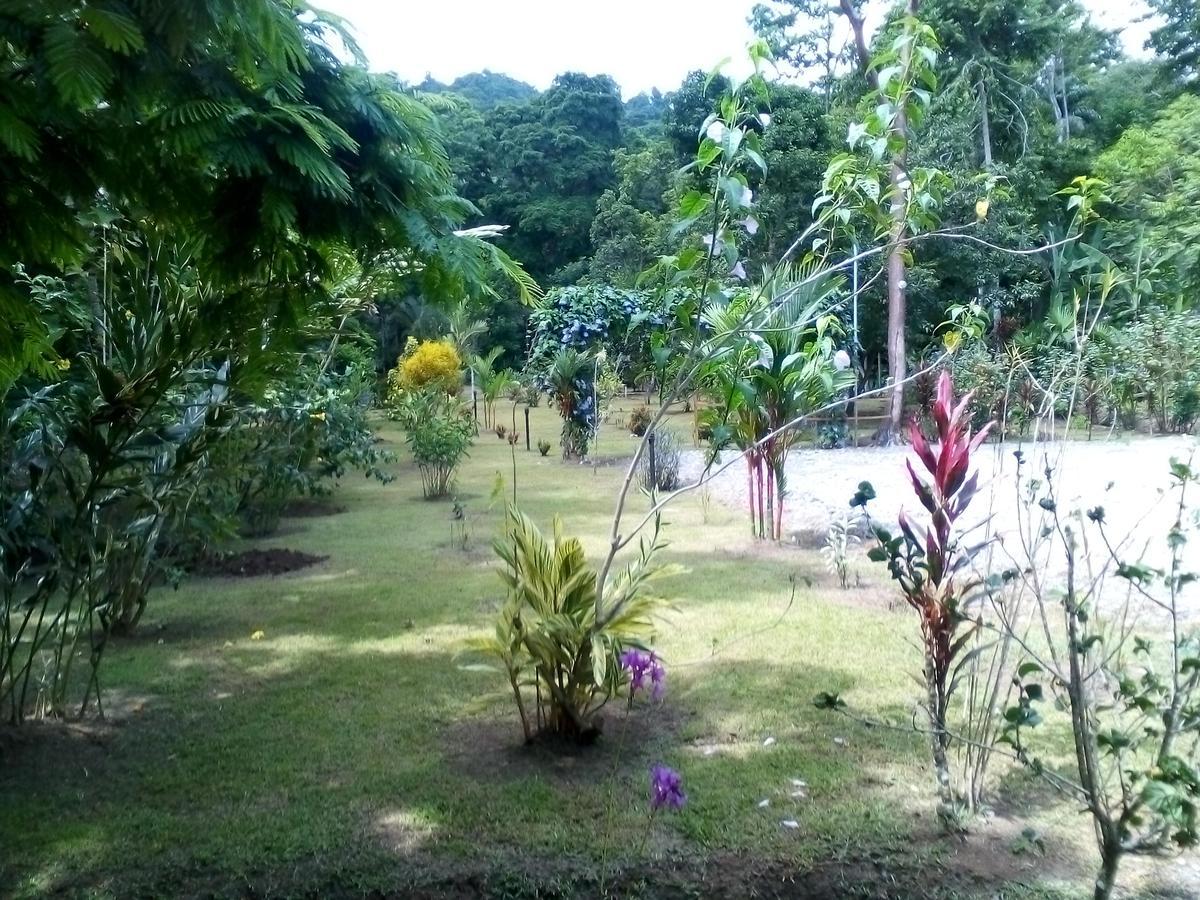 Puerto Vargas Lodge Cahuita Exteriör bild
