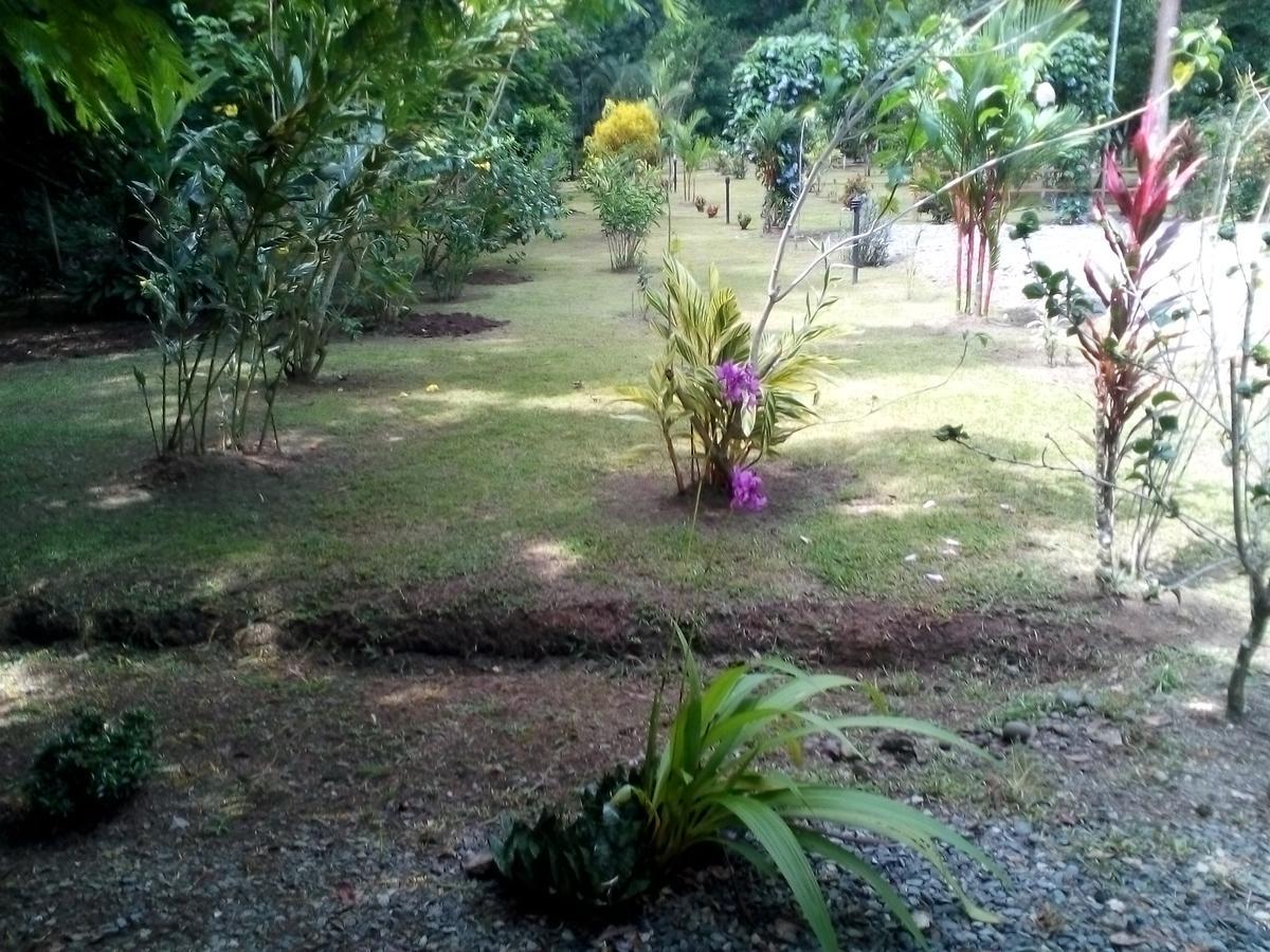 Puerto Vargas Lodge Cahuita Exteriör bild